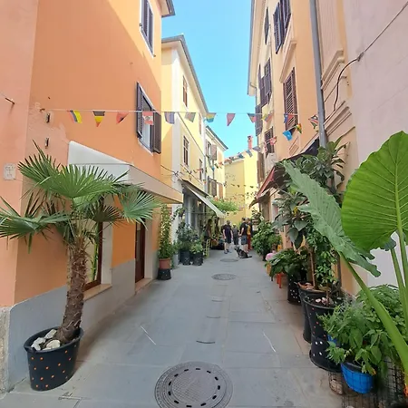 Four Seasons Center - 100 M From Main Square - New 2026 Izola