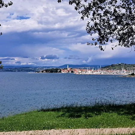 Four Seasons Center - 100 M From Main Square - New 2026 Izola